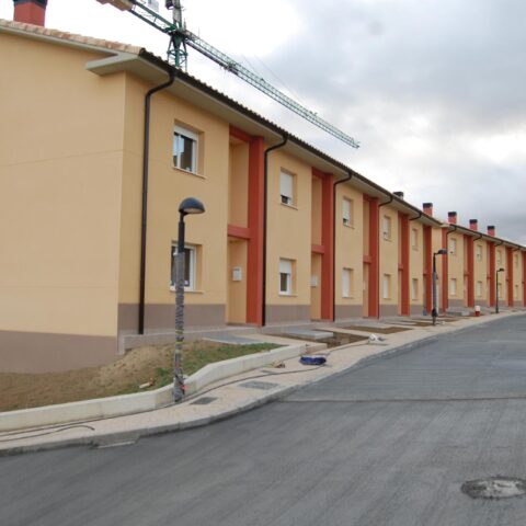 Calle con viviendas y jardines